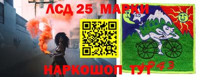 spice Славгород