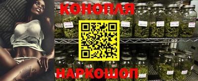 spice Славгород