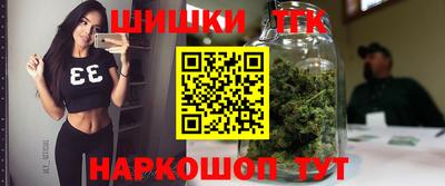 spice Славгород